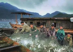 中国有大动作？港口停靠348条船，对澳洲撤资40%，拒绝越南34船鱼