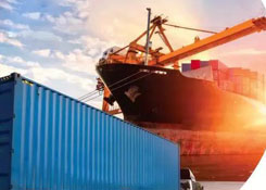 集装箱货物中转港被盗风险高企，码头竟然表示无能为力！