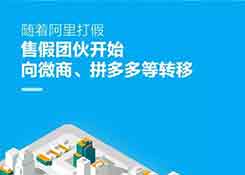 阿里慌了，拼多多已经是半个多淘宝了