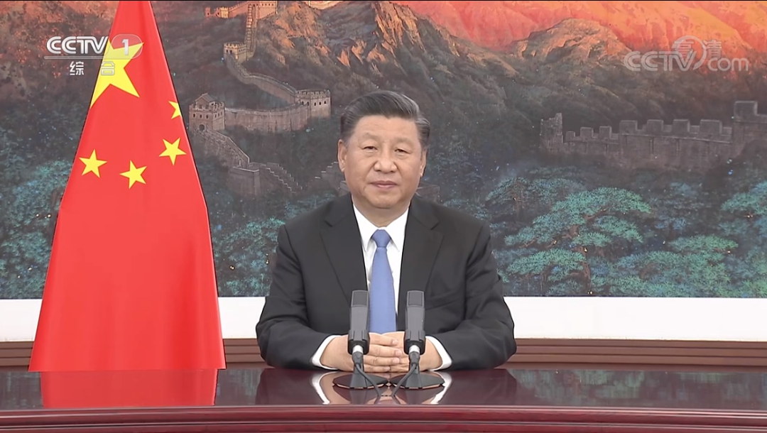 习近平:中国将推动跨境电商等新业态新模式加快发展