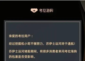海淘包裹“晚到必赔”,考拉海购用户服务再升级