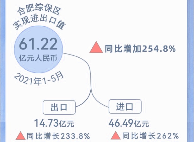 增长254.8%!今年前5个月合肥综保区进出口值实现61.22亿!