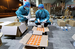 深圳湾海关查获一宗化妆品申报不实案件