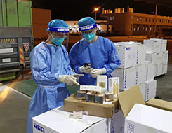 不可伪报瞒报！海关查获一批未申报货物案值约600万