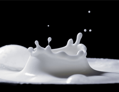 海关总署关于明确进口乳品检验检疫有关要求的公告