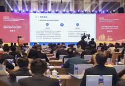 【宁波】北仑跨境贸易投资高水平开放试点显成效