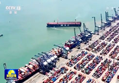 广州港南沙港区外贸航线、外贸集装箱量双位数增长