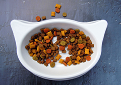 带你了解跨境电商进口宠物食品监管要求