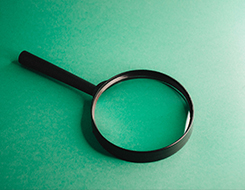 7月1日前提交主动披露申请，适用哪个公告？