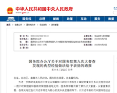 广东跨境电商典型经验做法获国务院表扬