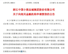 小商品城拟向金融机构申请最高5亿授信用于跨境电商物流园等项目