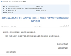 中国（同江）跨境电子商务综合试验区实施方案印发