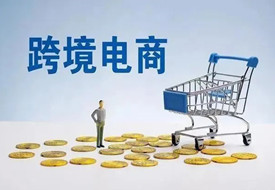 有公司无资质怎么做跨境电商?保税进口跨境电商怎么做?