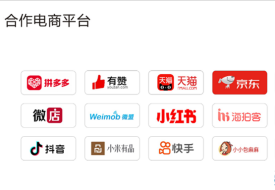 国内跨境电商商城有哪些?进口跨境电商保税仓库合作