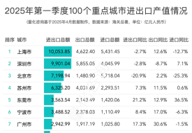 2025年第一季度进出口贸易总额前100的城市排名