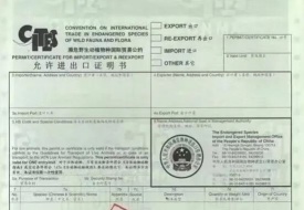 濒危物种证怎么办理？进出口动植物濒危证办理流程