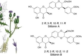 跨境商家启示录：几十年海外大牌水飞蓟检测含量不足？