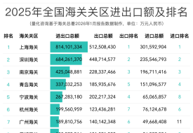 2025年中国海关关区进出口贸易全景报告:42个关区排名与深度解析