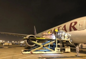 食品化妆品进口:标签、备案、检疫,避坑指南+跨境进口电商新优势