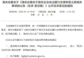 货代、货主同责，进出口报关严查升级！报关行“只录单不审单”时代结束