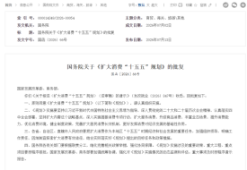 《扩大消费“十五五”规划》：优化完善跨境电商进口政策，扩大境外优质商品进口