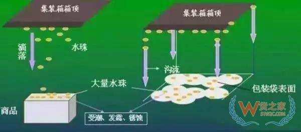 集装箱里进水，谁的错？如何预防应对？货之家