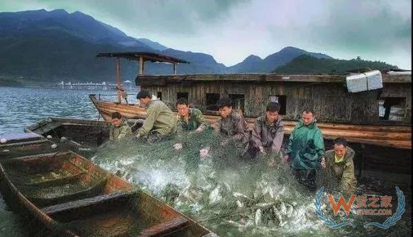 中国有大动作？港口停靠348条船，对澳洲撤资40%，拒绝越南34船鱼-货之家