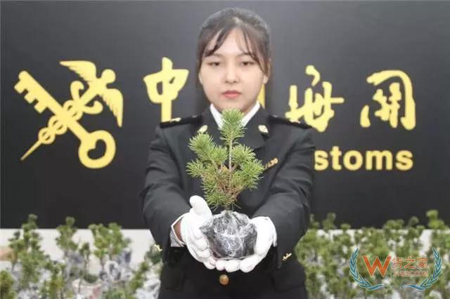 口岸营商环境优化取得阶段性成效，海关“双随机”实现执法领域全覆盖，西安海关创新举措为中小企业减负增效—货之家