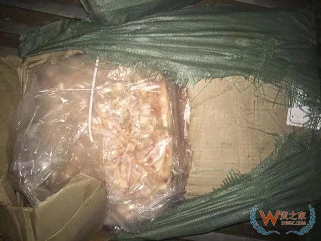 第五轮！海关总署打击“洋垃圾”走私今晨收网—货之家