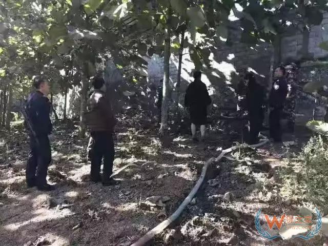 昆明海关破获系列走私柴油入境案——货之家