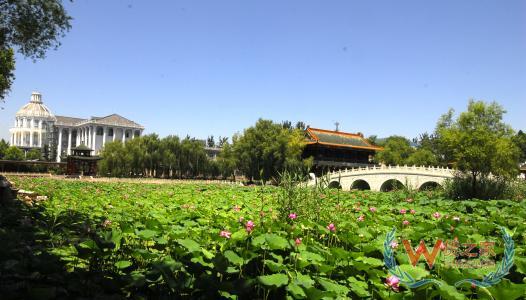 邢台京东保税仓,保税区保税仓,广州跨境电商,跨境电商的发展,跨境电商—货之家