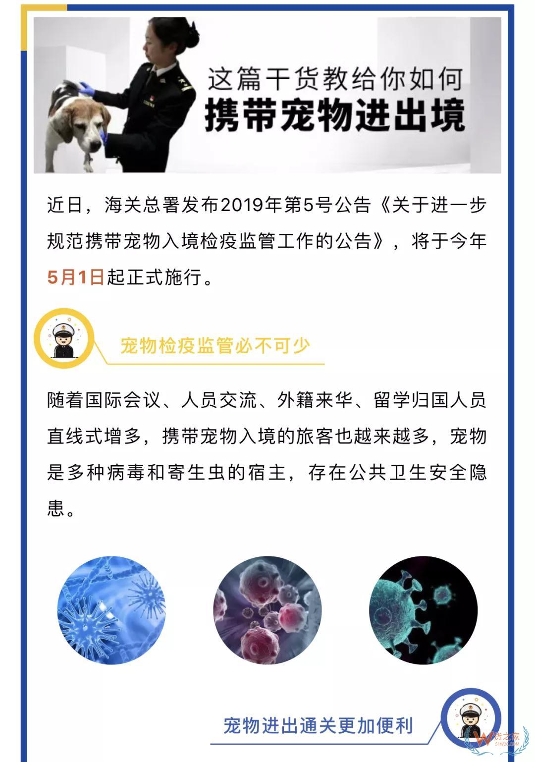 宠物入境有新规 猫狗通关更便利--货之家