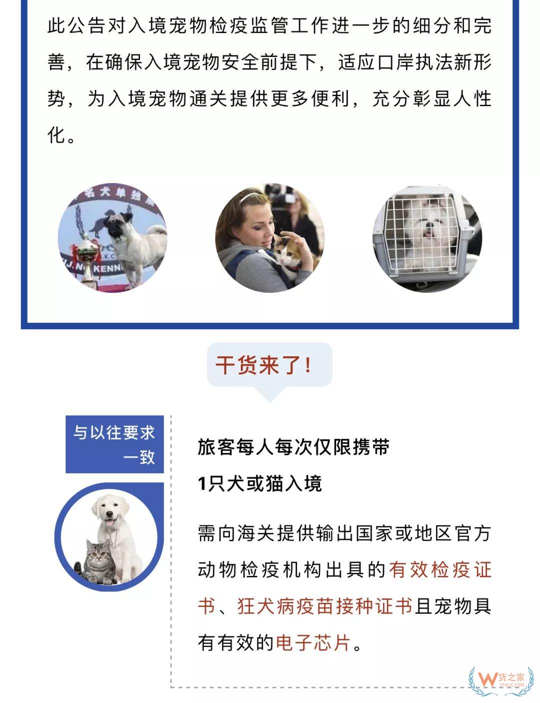 宠物入境有新规 猫狗通关更便利--货之家