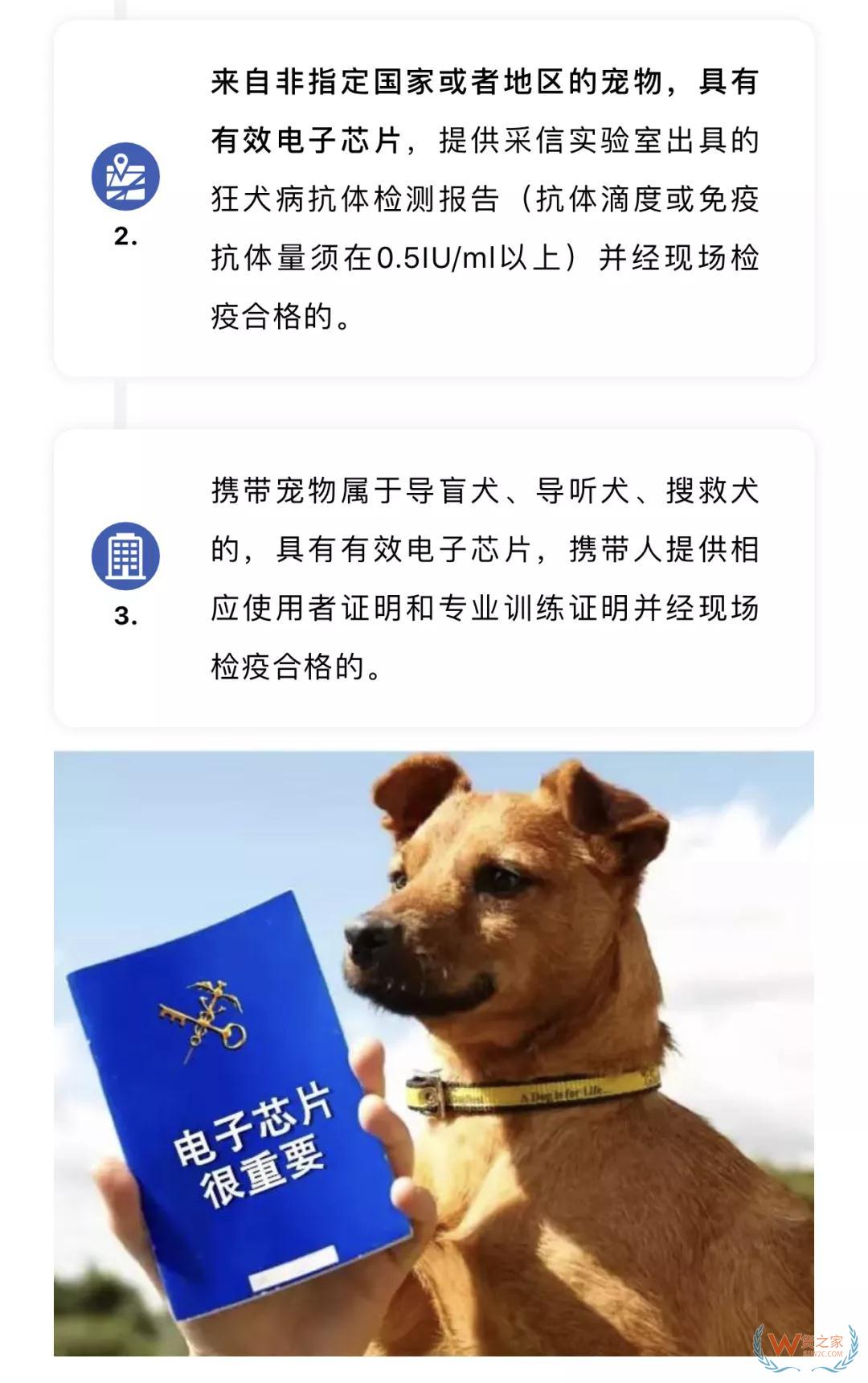 宠物入境有新规 猫狗通关更便利--货之家