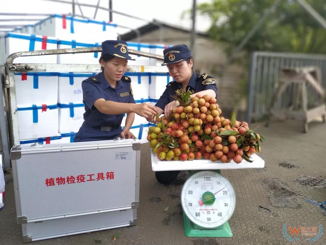 昆明海关“鲜”通道 助“荔”快速通关--货之家