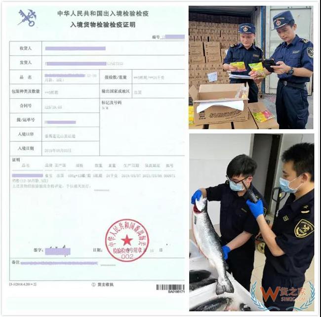消费小贴士 | 如何辨别“真假”进口食品？——货之家