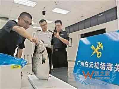 广州空港经济区着力优化营商环境 推动发展临空新业态—货之家
