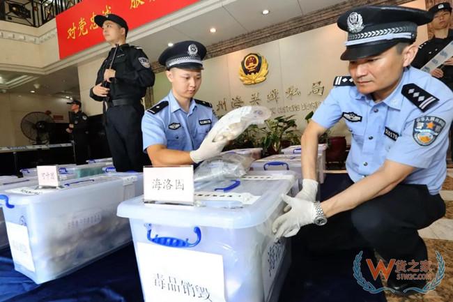 夜读海关 | 广州海关集中销毁312公斤走私毒品；上海海关在入境邮包中查获80只绿鬣蜥—货之家