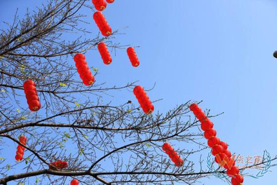 国家邮政局部署春节期间有关工作 维护寄递行业安全运行-货之家