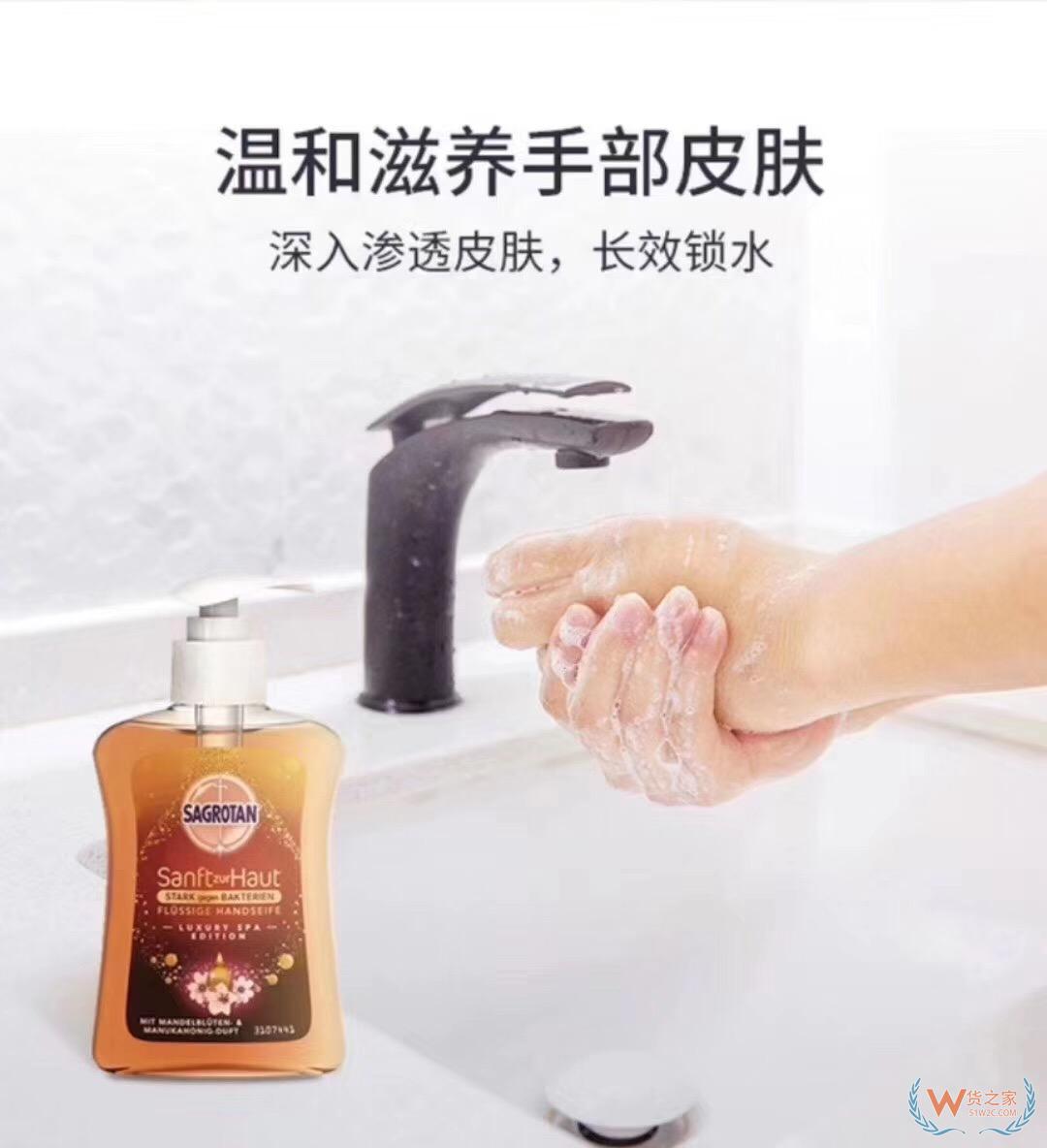 德国Sagrotan 杏花蜂蜜洗手液250ml/瓶—货之家