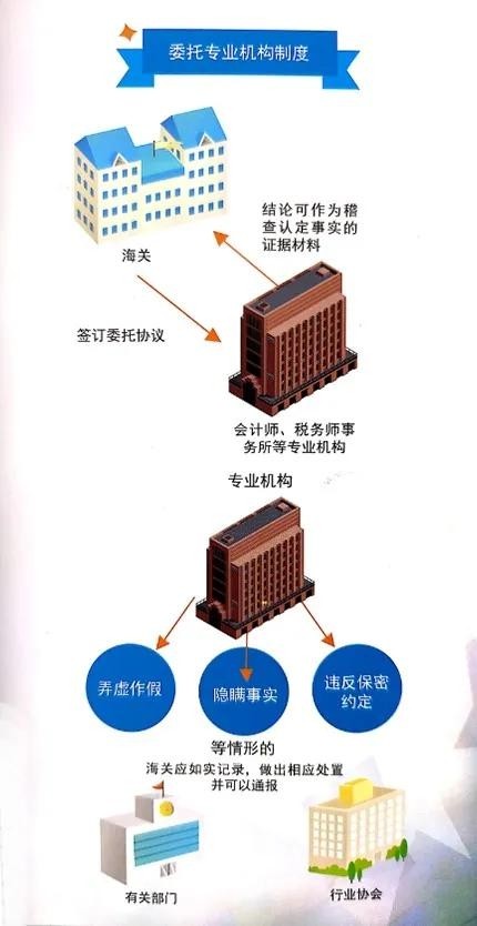关于新《海关稽查条例》，有这些需要关注的内容-货之家