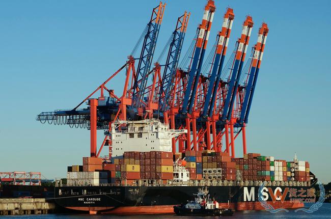 最大集装箱航运公司MSC进军航空货运市场-货之家