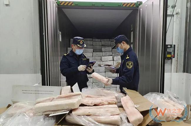 跨境走私濒危物种，违法行为将受到严惩！-货之家