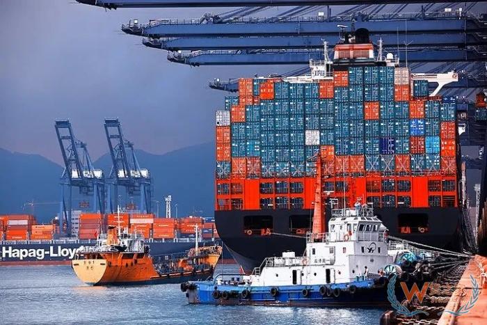 广州南沙港延长外贸集装箱免堆期,港口免费堆放时间多久