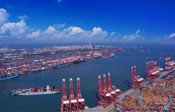 清关进出口代理警惕：2024年至2025年十大错误申报类型