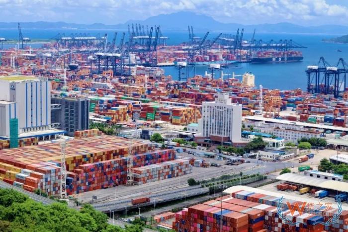 直播带货+保税仓，跨境进口电商的下一个爆单密码解锁