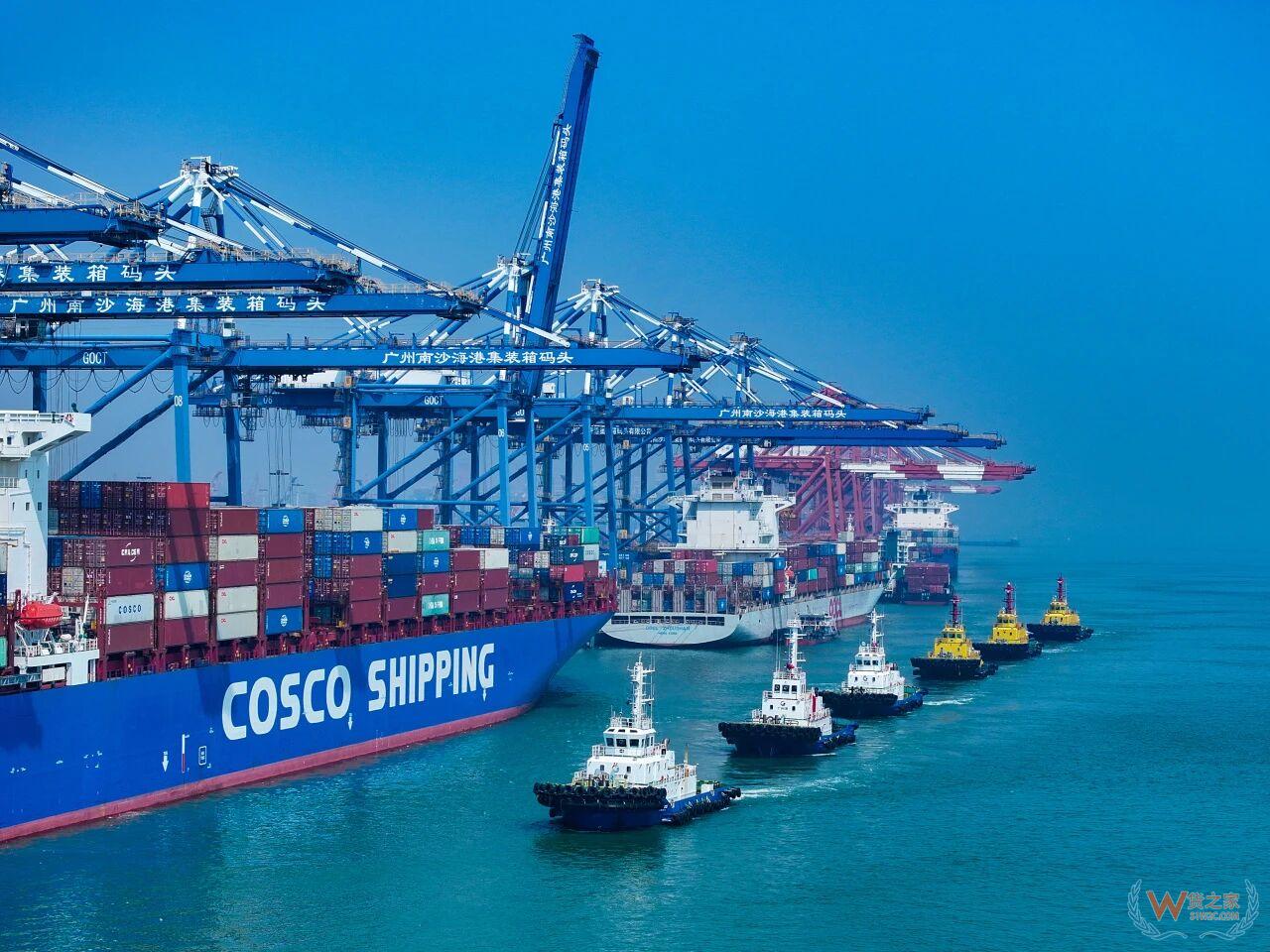 跨境电商进口清关重点监管成分,12月跨境进口关务新情况 跨境电商进口清关重点监管成分,12月跨境进口关务新情况