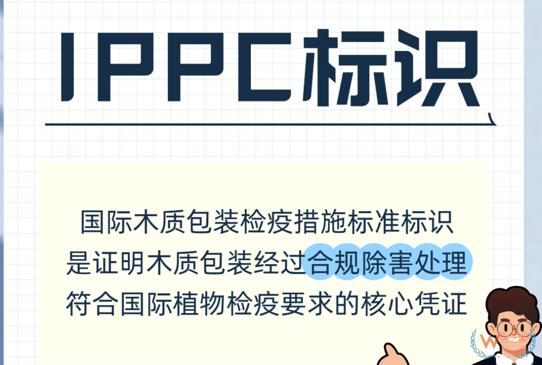中国海关发布新规：带有托盘的货物申报要求全面升级